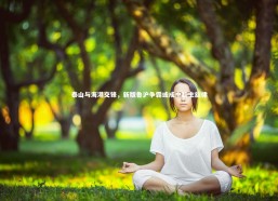 开云app：泰山与海港交锋，新版鲁沪争霸或成中超主旋律